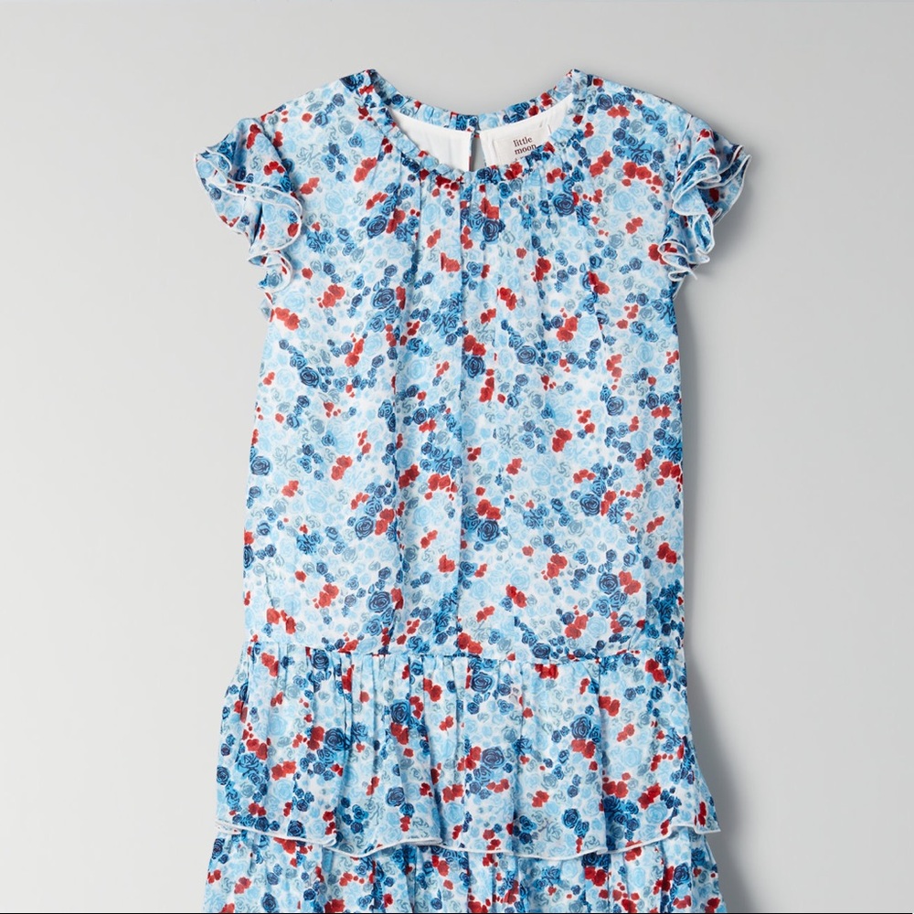 Aritzia/Little Moon ruffle blue tiered maxi dress